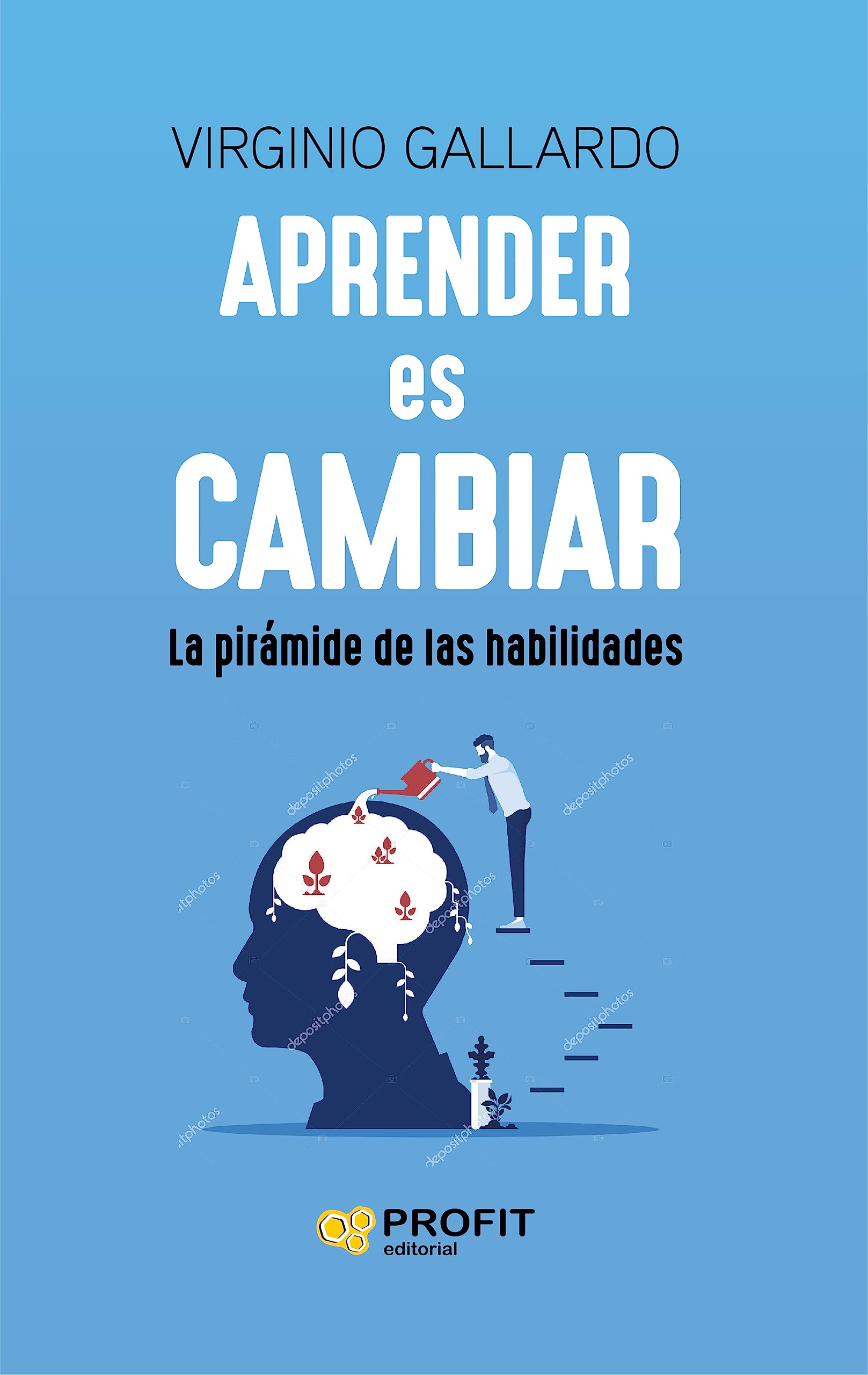 Libro: Aprender Es Cambiar - Las Claves Para Llegar Al Profesional Que Quieres Ser: La pirámide de las habilidades (SIN COLECCION)