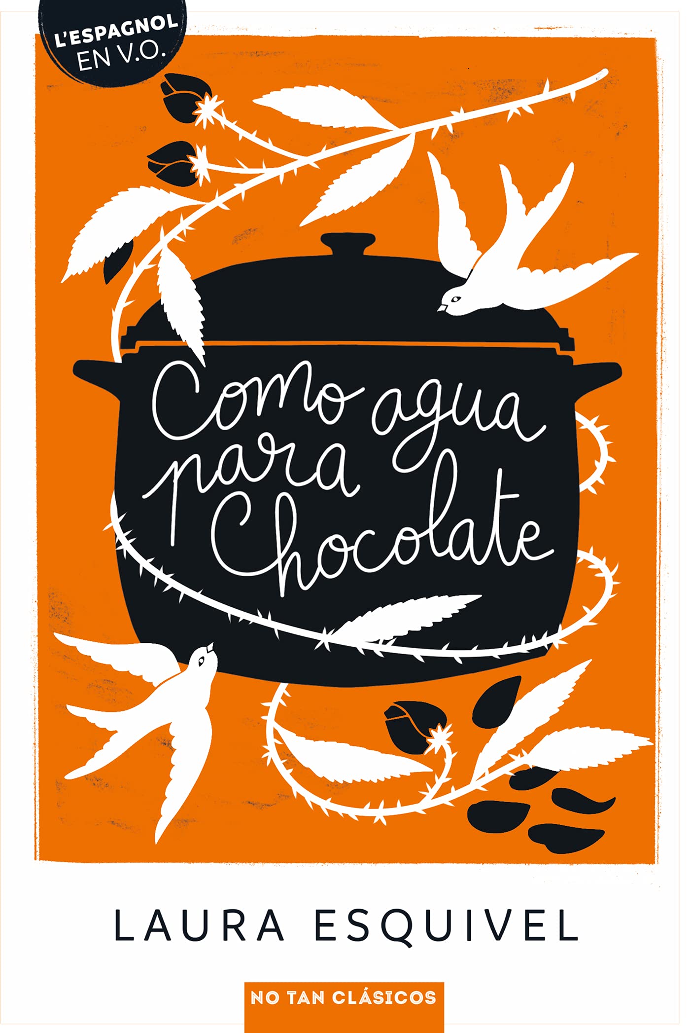 Libro: Como agua para chocolate