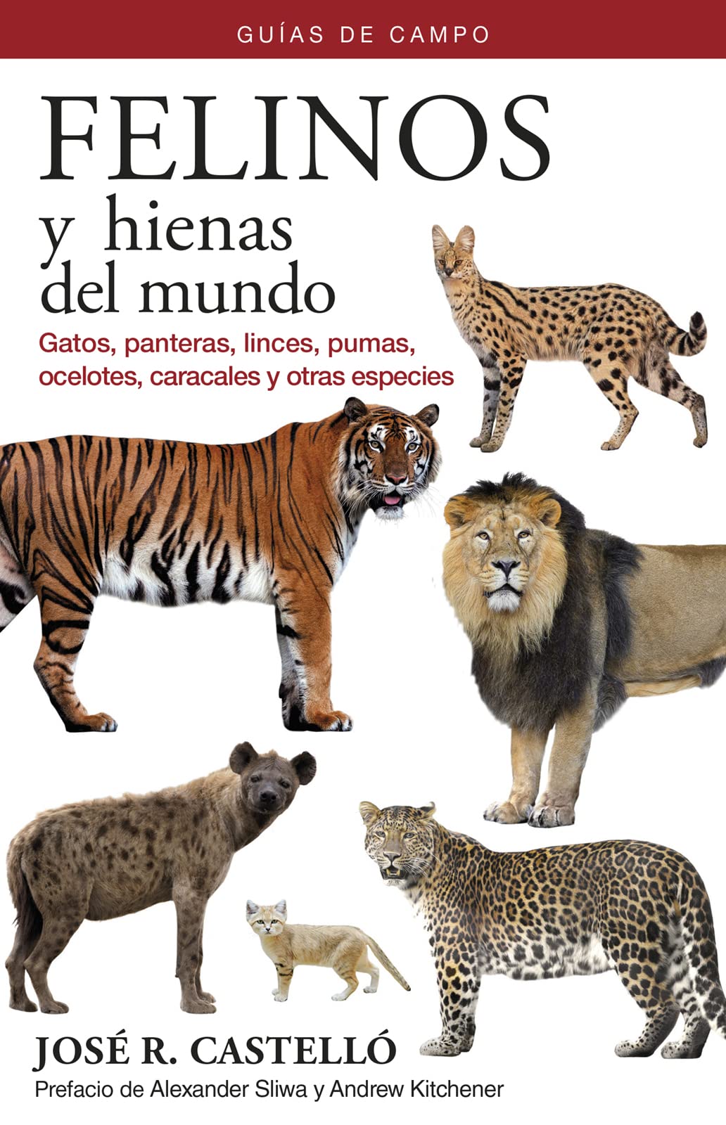 Libro: Felinos y hienas del mundo: Guías de campo: 20 (GUIAS DEL NATURALISTA)