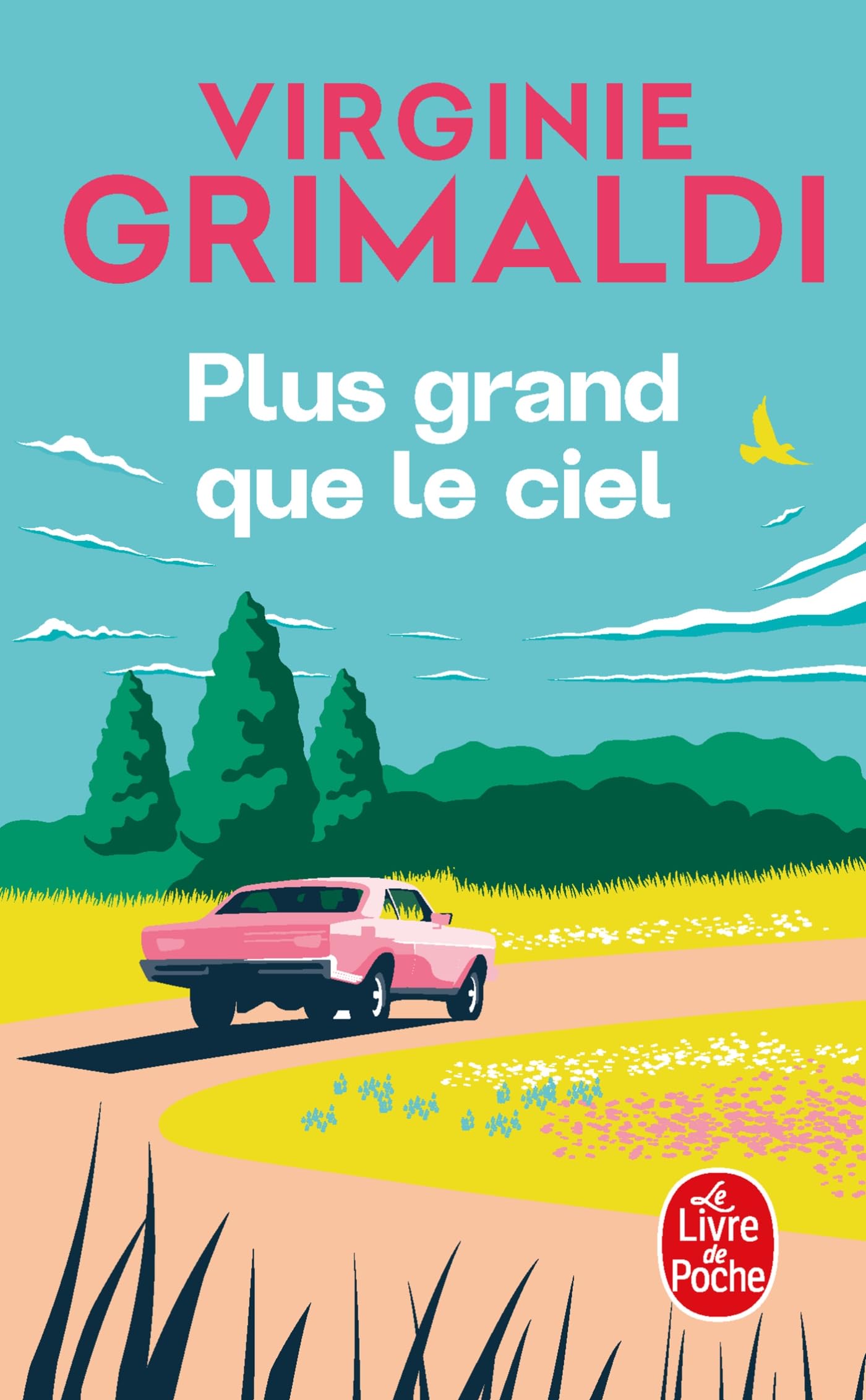 Plus grand que le ciel: roman (Le livre de poche)
