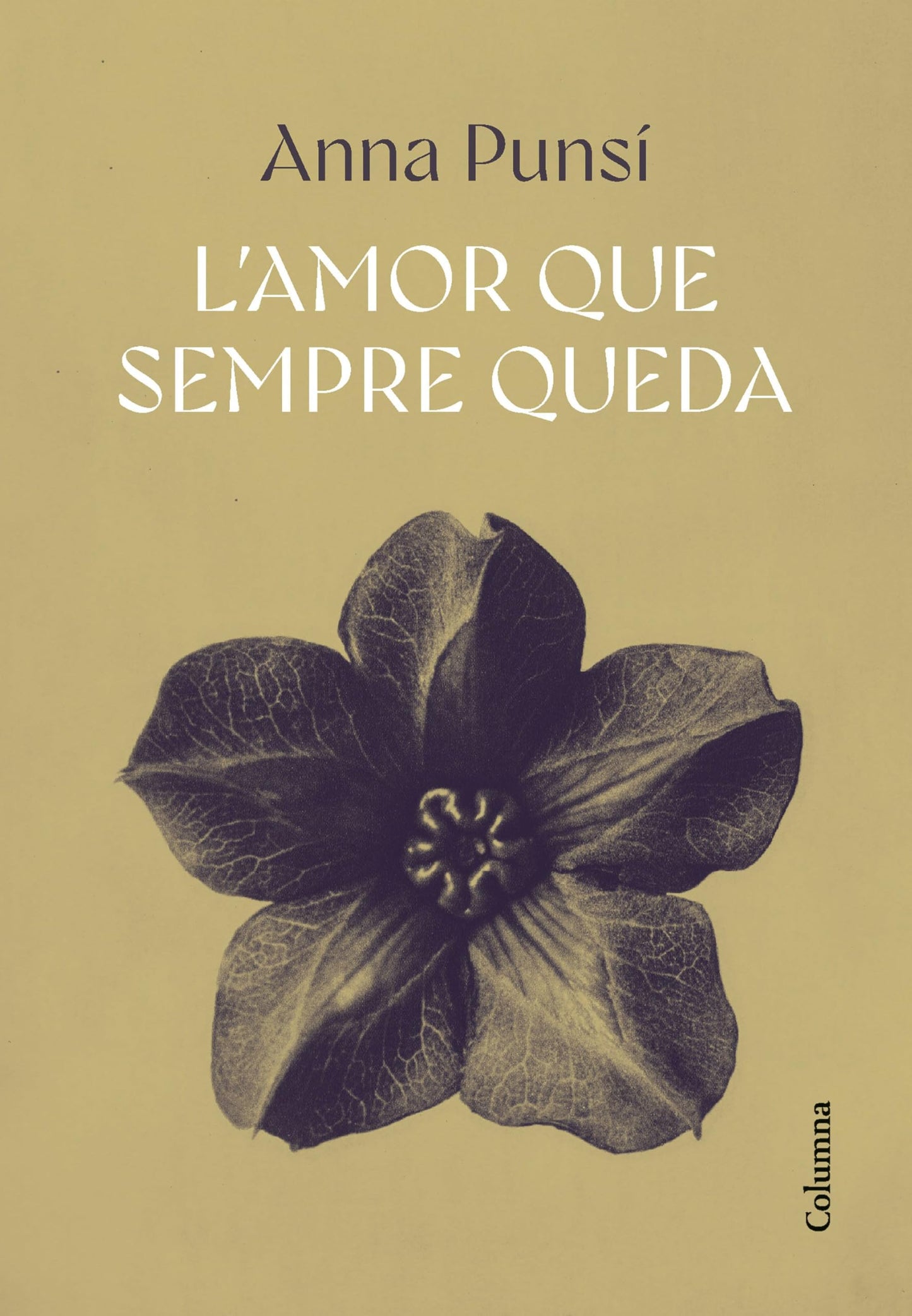 Libro: L'amor que sempre queda