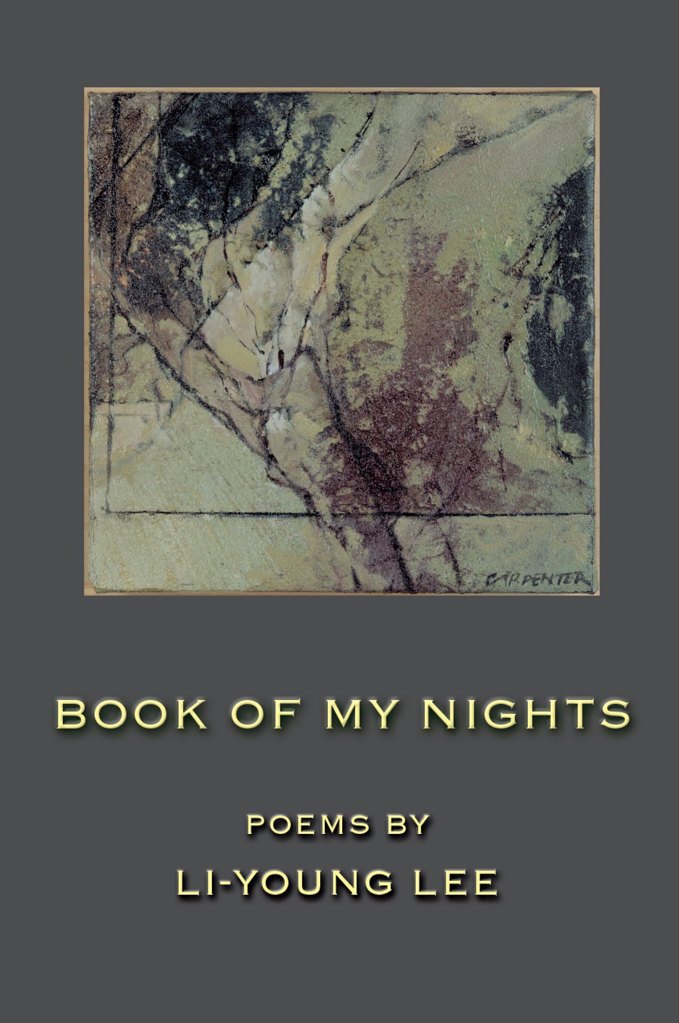 Libro: Book of My Nights: Poems (American Poets Continuum, 68)