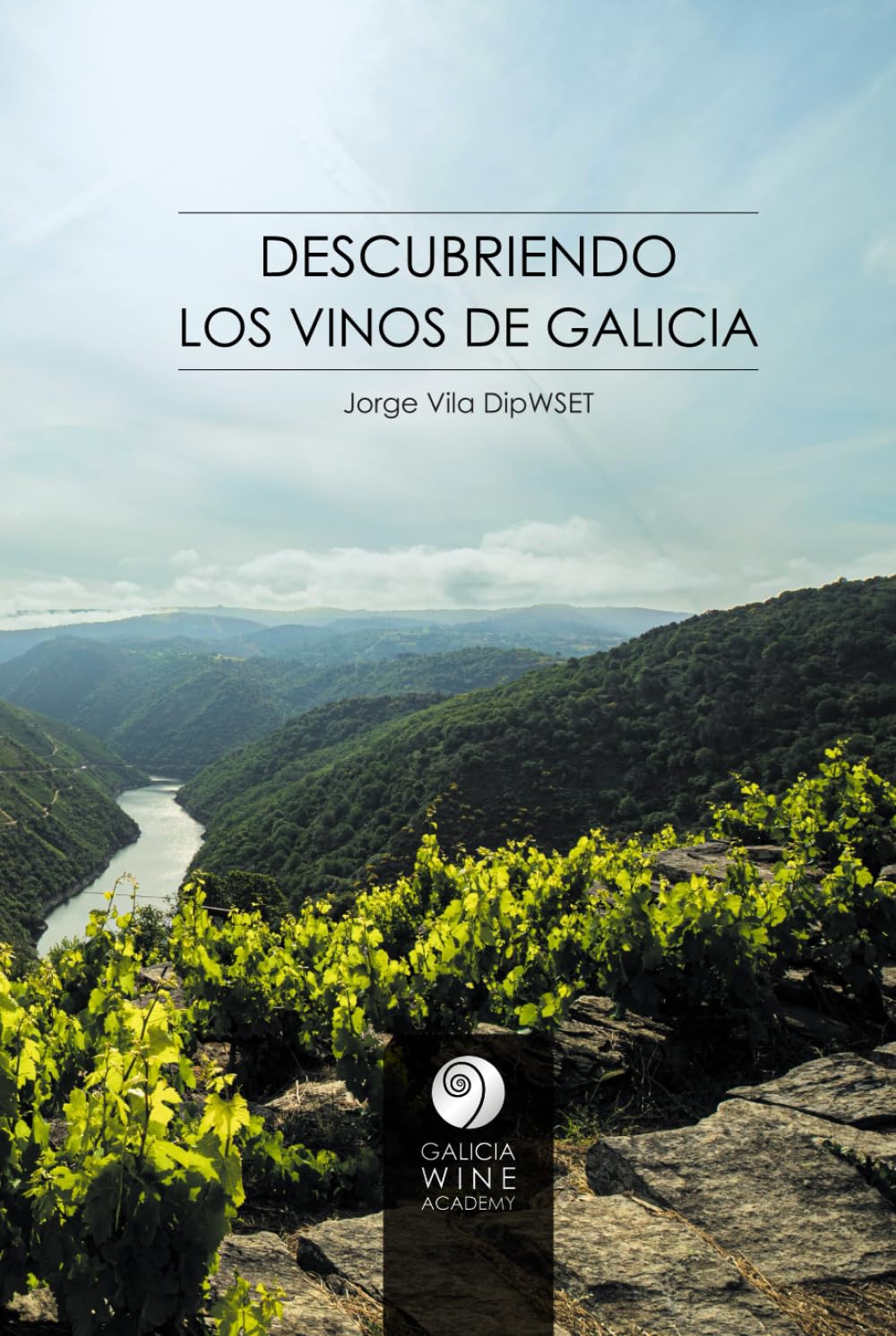 Libro: DESCUBRIENDO LOS VINOS DE GALICIA (Spanish Edition)