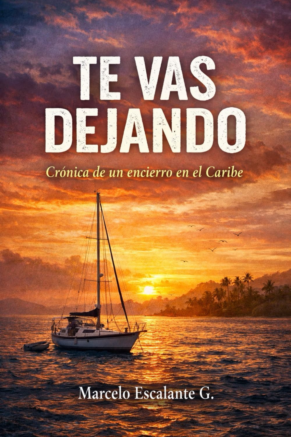 Libro: TE VAS DEJANDO (Decisiones) (Spanish Edition)