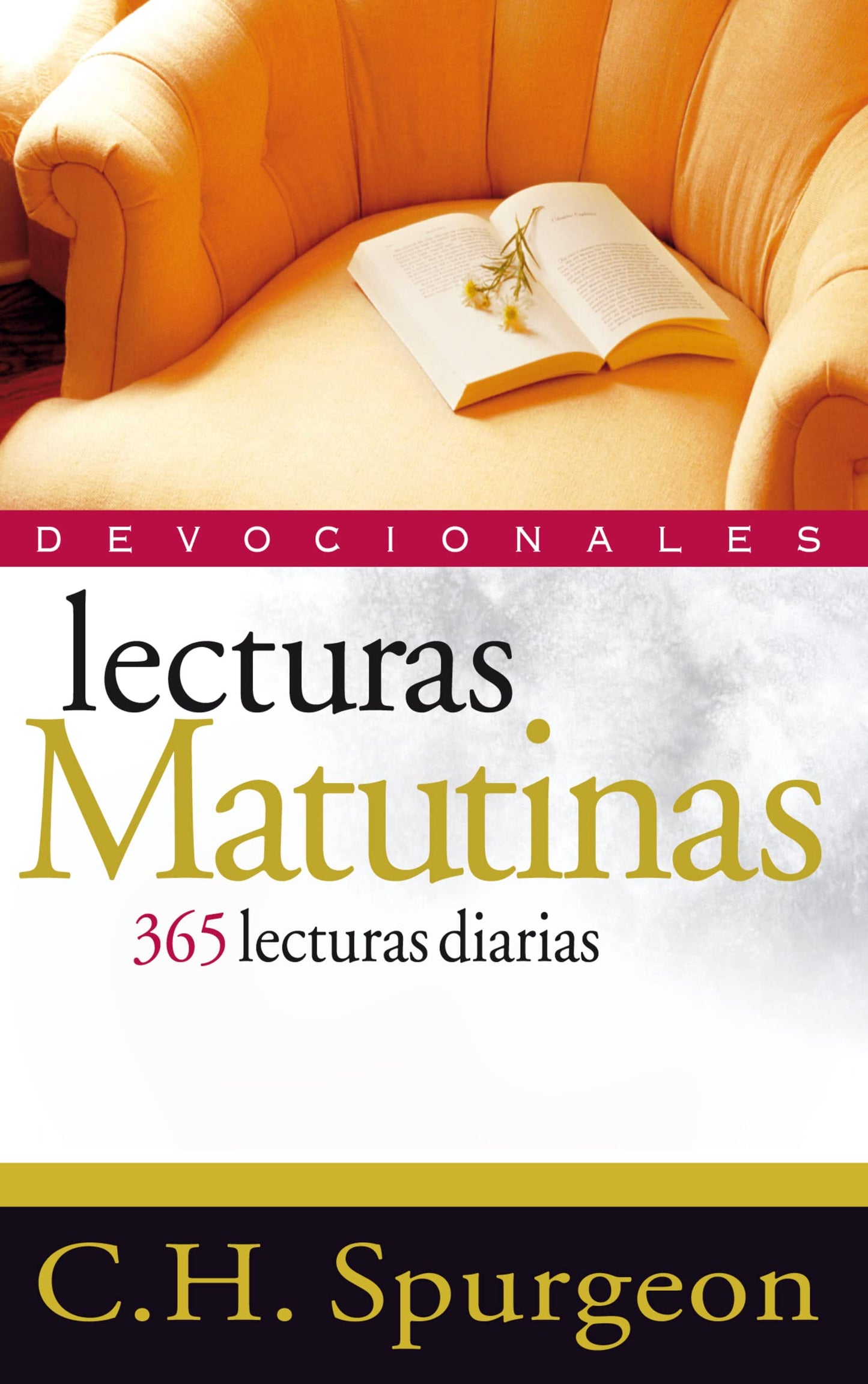 Libro: Lecturas Matutinas: 365 Lecturas Diarias (DEVOCIONALES)