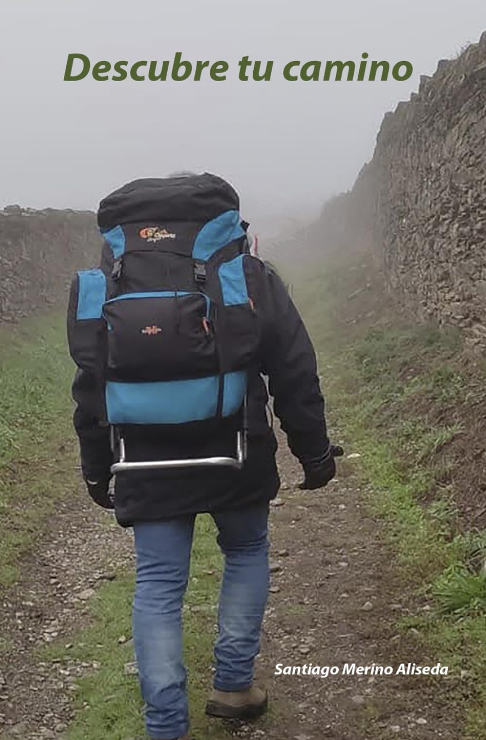 Libro: Descubre tu camino