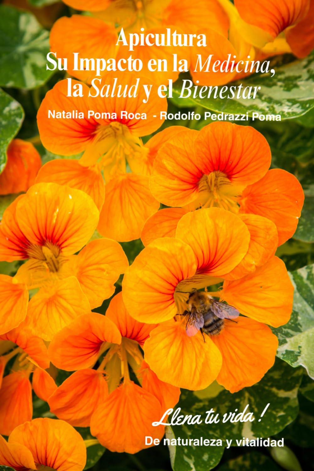 Libro: Apicultura: Su Impacto en la Medicina, la Salud y el Bienestar (Spanish Edition)