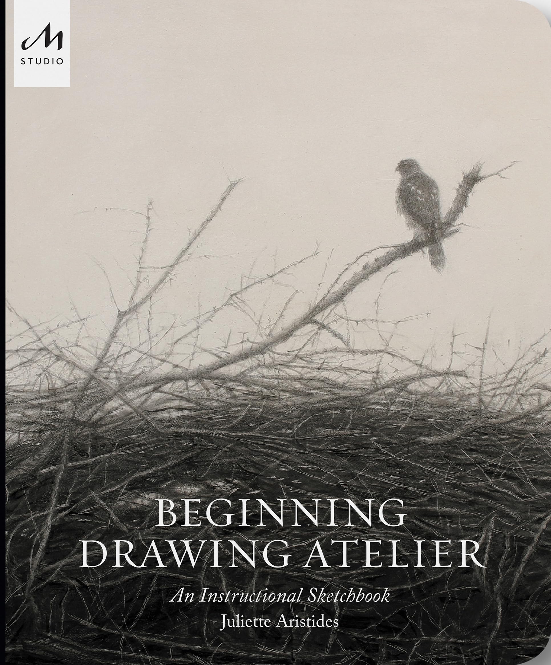 Libro: Beginning Drawing Atelier: An Instructional Sketchbook