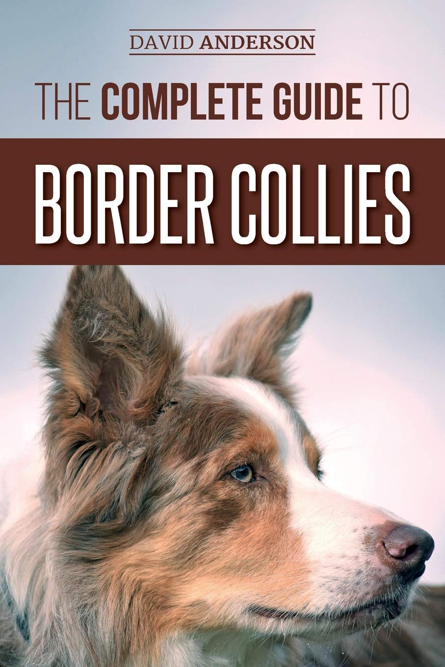 Libro: The Complete Guide to Border Collies: Training, teaching, feeding, raising, and loving your new Border Collie puppy