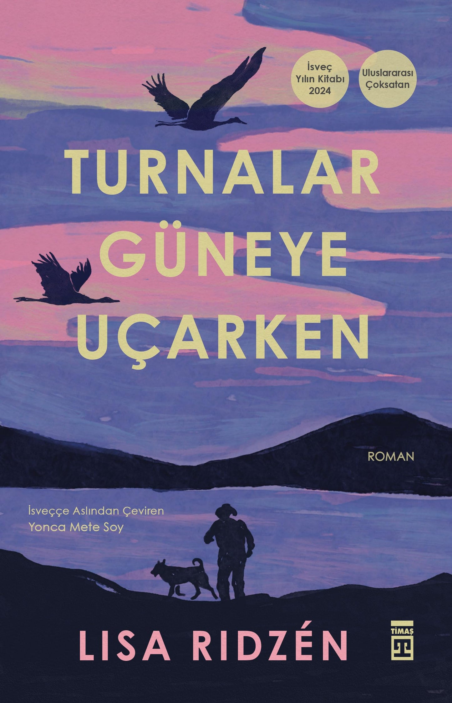 Libro: Turnalar Güneye Uçarken