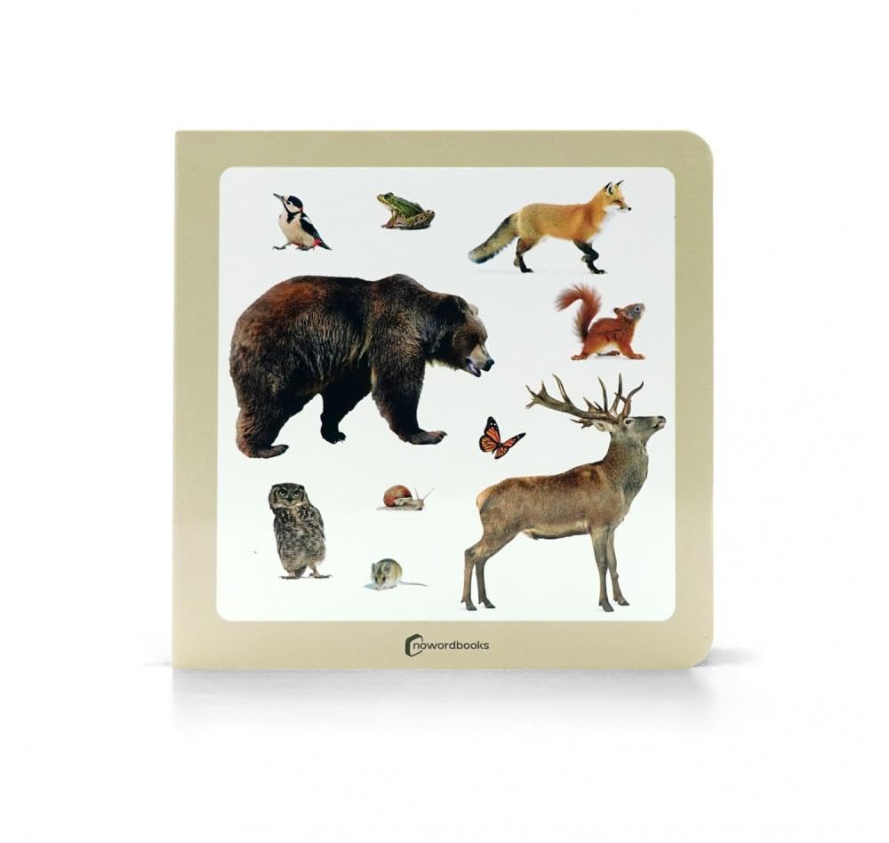 Libro: Animales del bosque 2