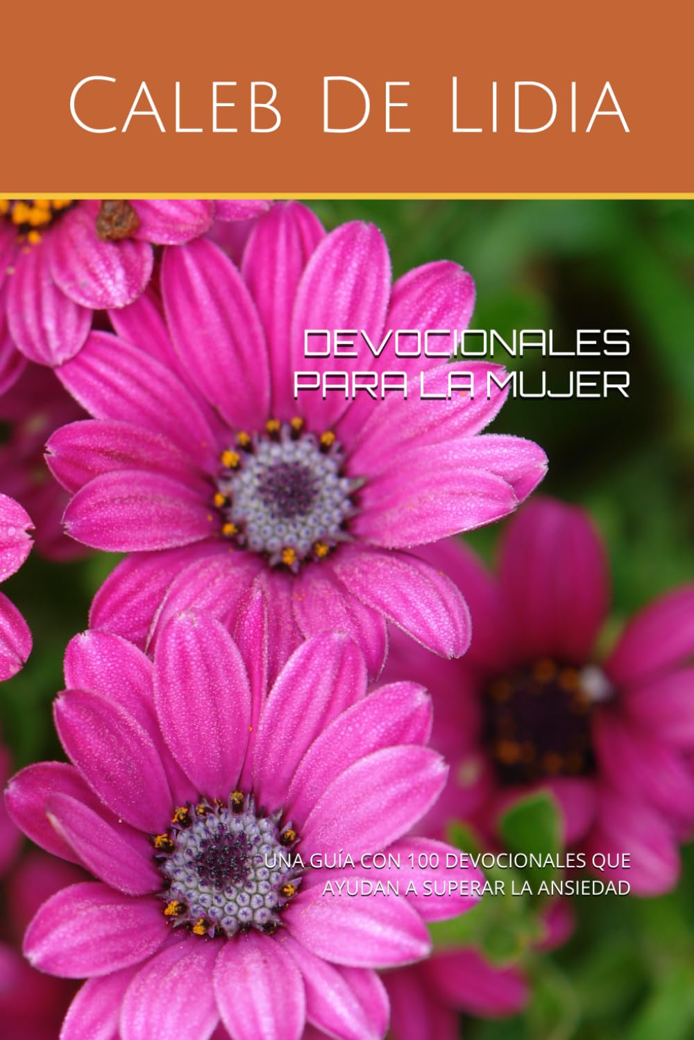Libro: DEVOCIONALES PARA LA MUJER: UNA GUÍA CON 100 DEVOCIONALES QUE AYUDAN A SUPERAR LA ANSIEDAD