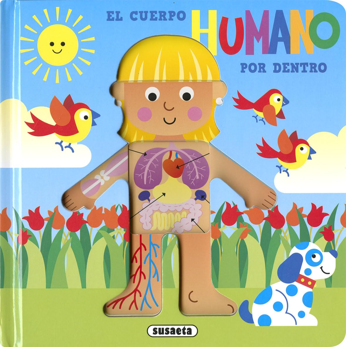 El cuerpo humano por dentro (Cómo es por dentro)