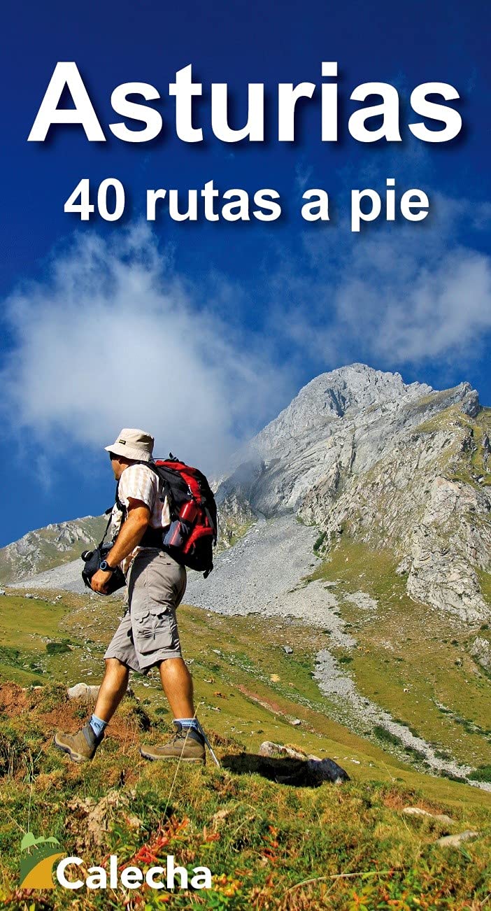 Libro: ASTURIAS. 40 RUTAS A PIE (GUIAS VIAJE)