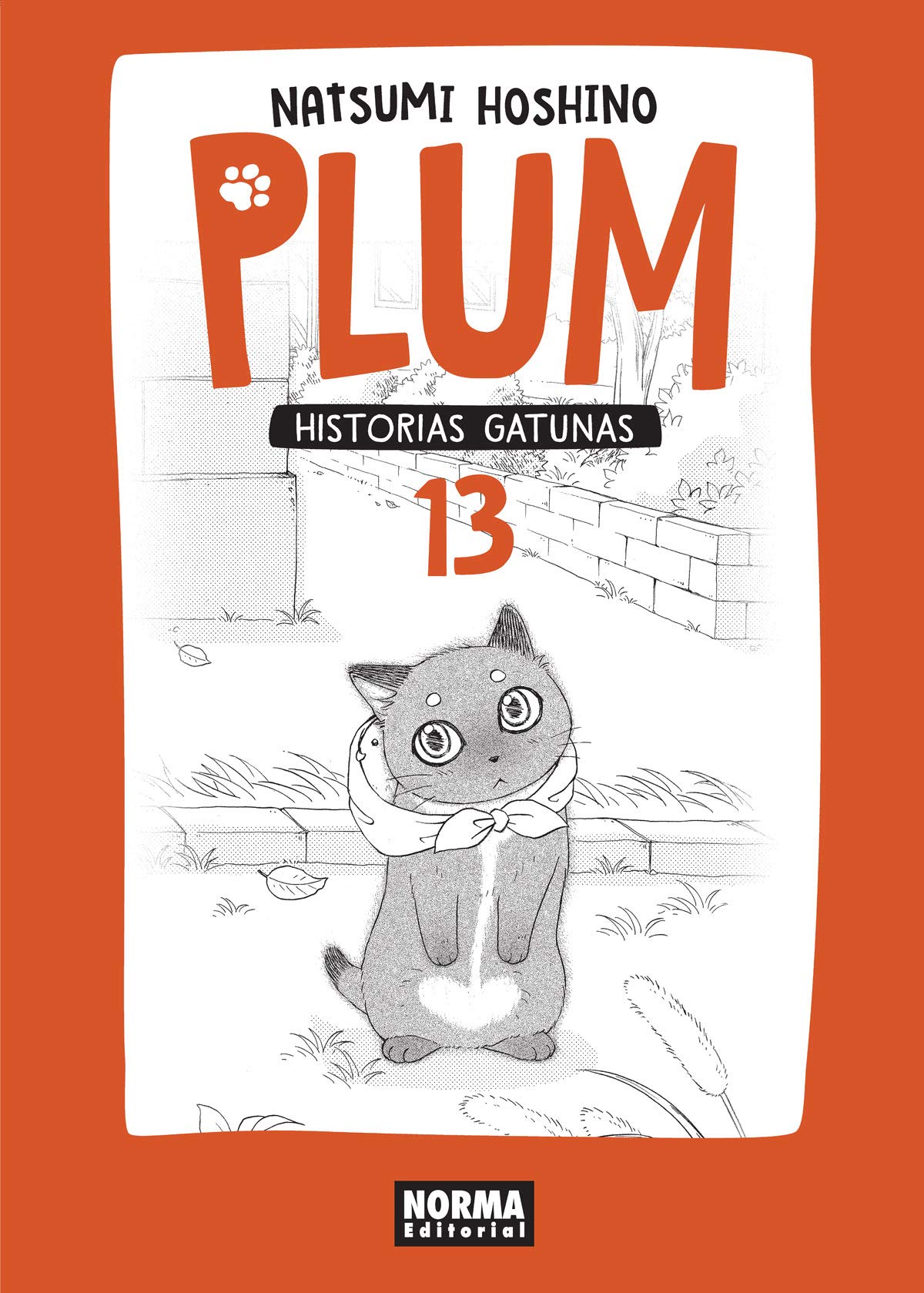 Libro: Plum. Historias gatunas 13