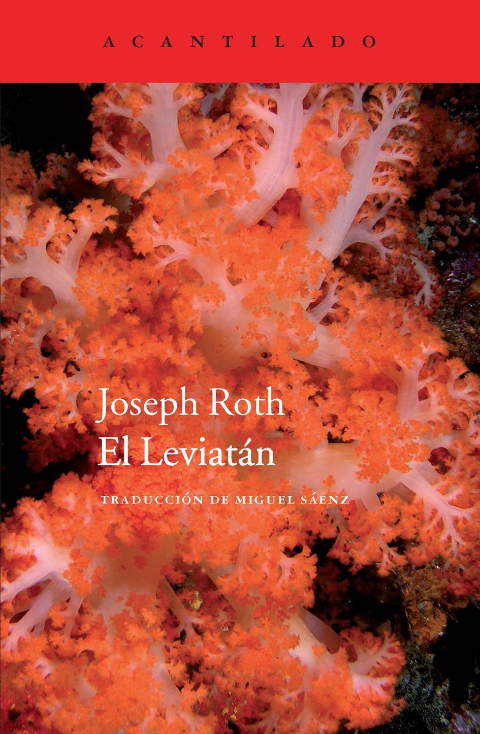 Libro: El Leviatán: 60 (Cuadernos del Acantilado)