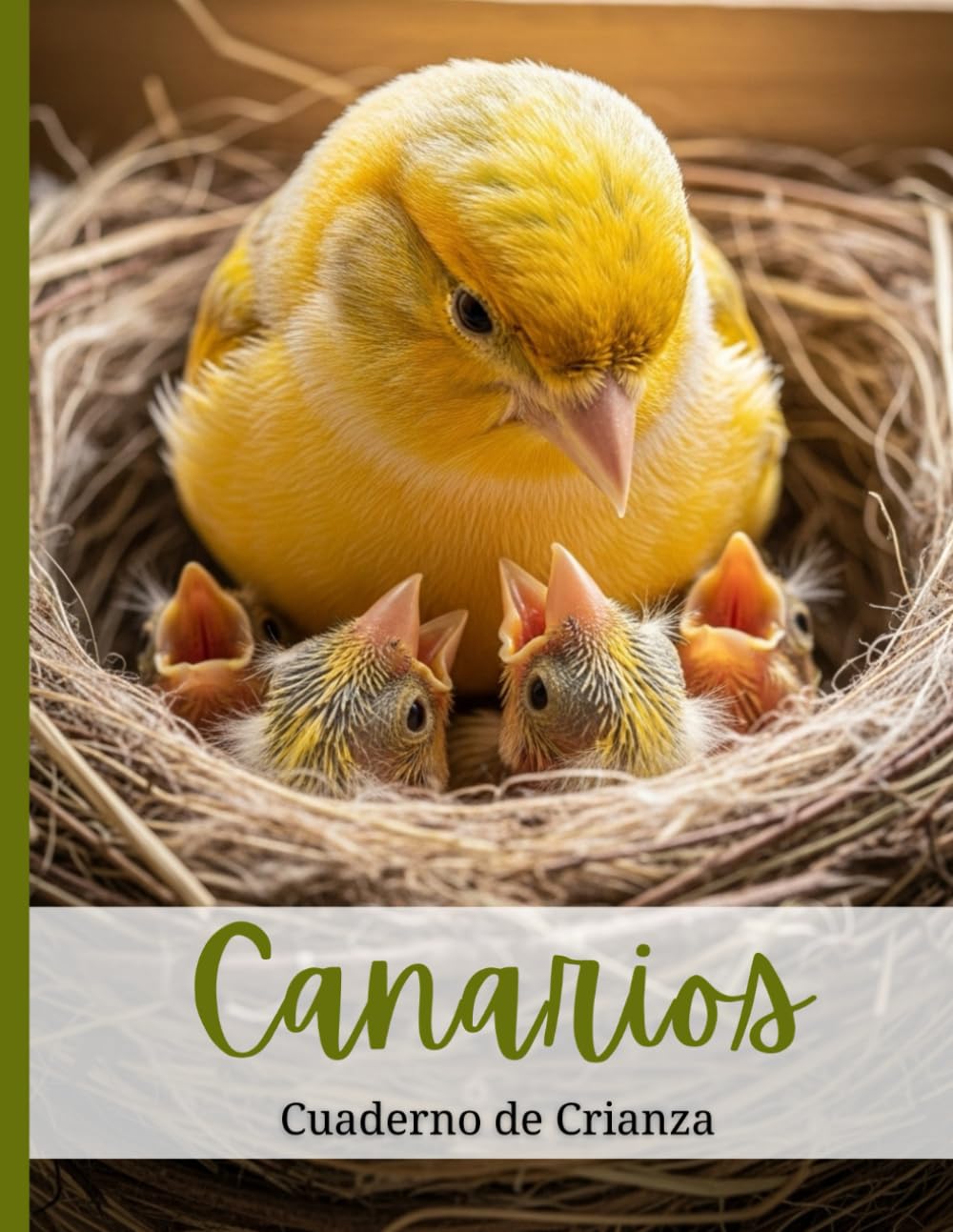 Libro: Cuaderno de Cría de Canarios: Organiza la información de tus canarios: identificación de parejas, ciclos de puesta, eclosión y desarrollo de crías. ... Parejas, Huevos y Polluelos (Spanish Edition)