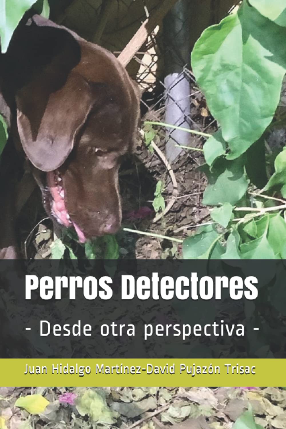 Libro: Perros Detectores: - Desde otra perspectiva - (Spanish Edition)