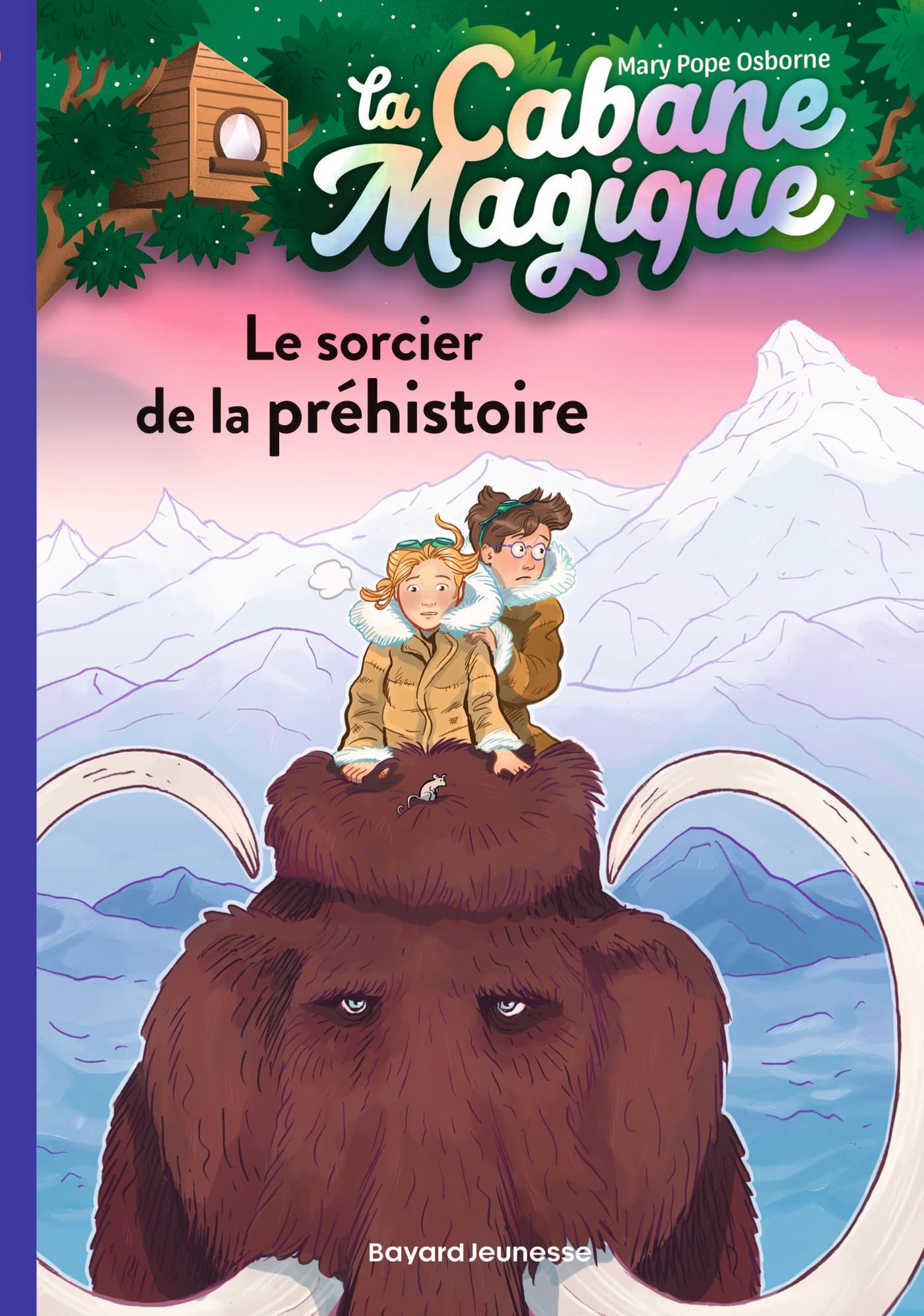 Libro: Le sorcier de la préhistoire