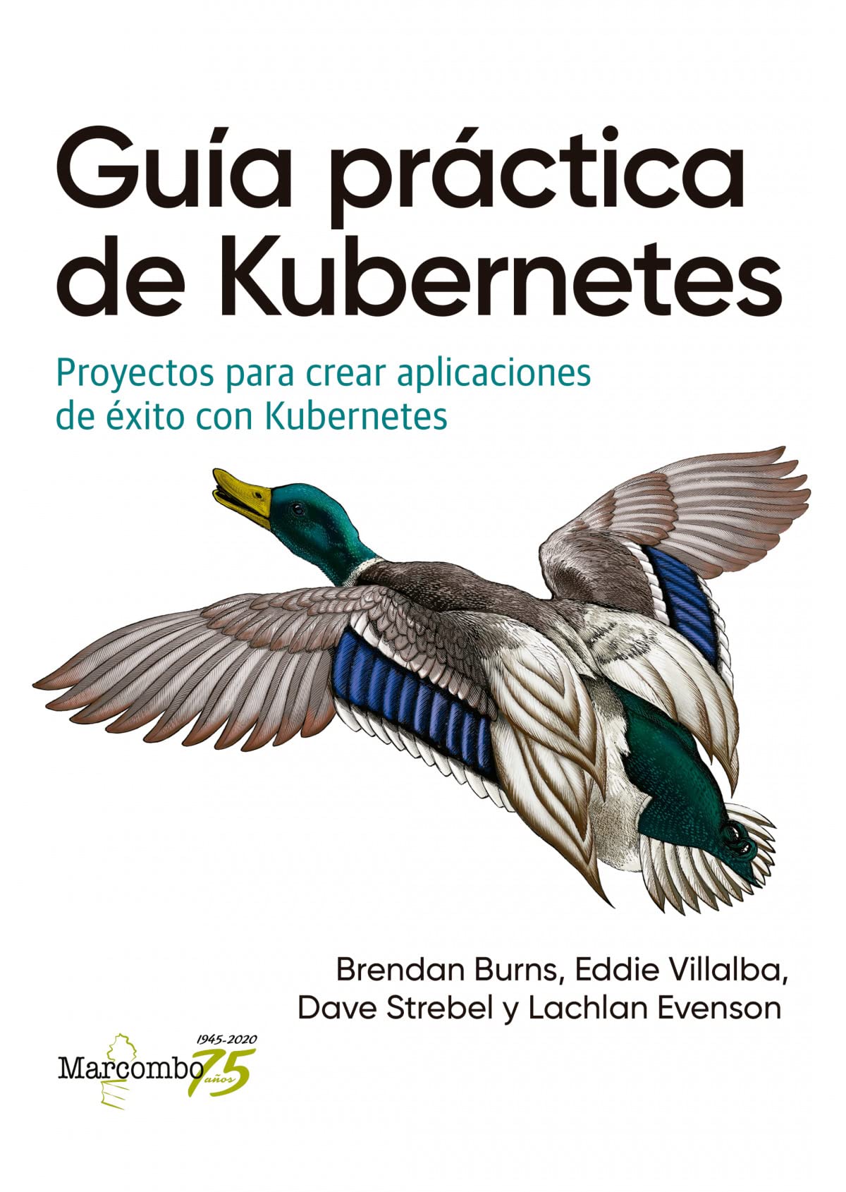 Libro: Guía práctica de Kubernetes: Proyectos para crear aplicaciones de éxito con Kubernetes (SIN COLECCION)