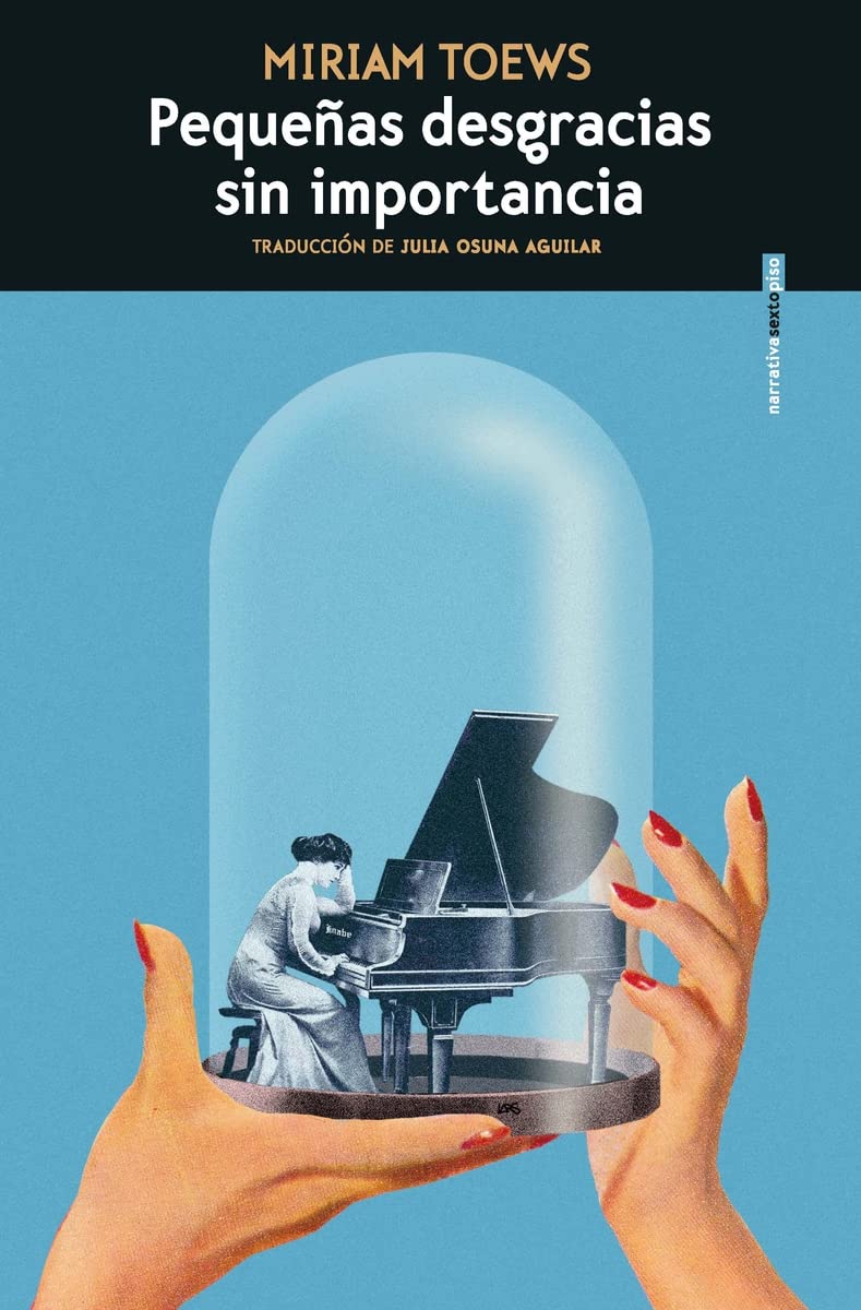 Libro: Pequeñas desgracias sin importancia