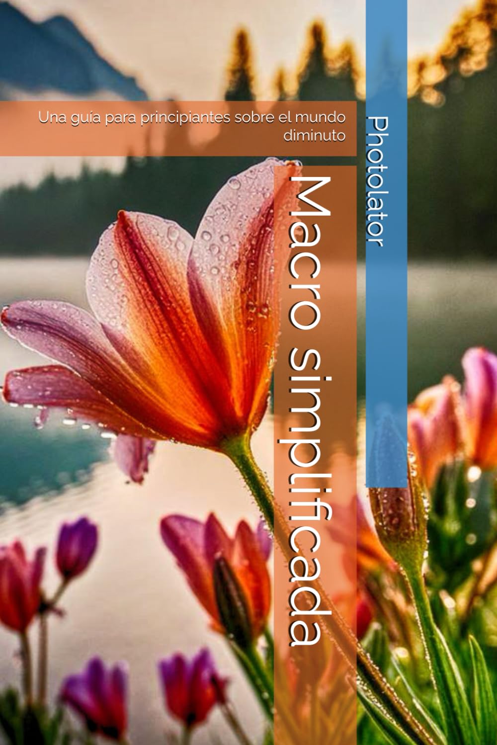 Libro: Macro simplificada: Una guía para principiantes sobre el mundo diminuto (Photolator.com Spanish Books Serie) (Spanish Edition)