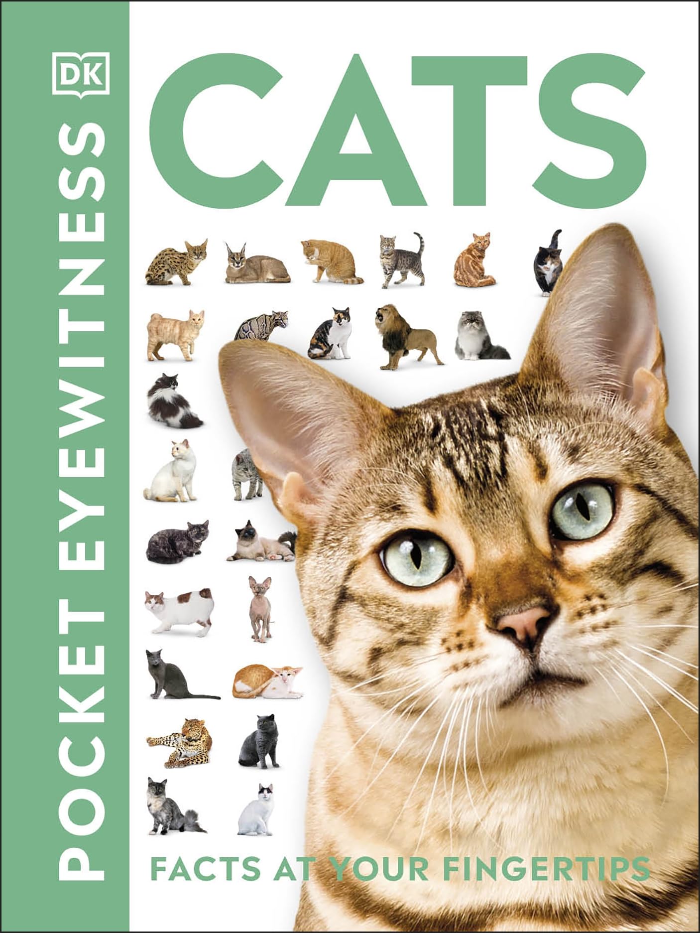 Libro: Cats: Facts at Your Fingertips (Pocket Eyewitness)