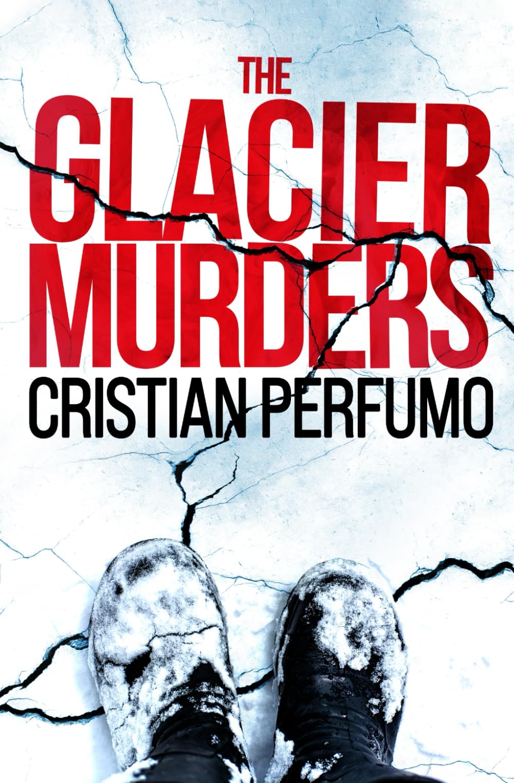 Libro: The glacier murders (Patagonia Detectives)