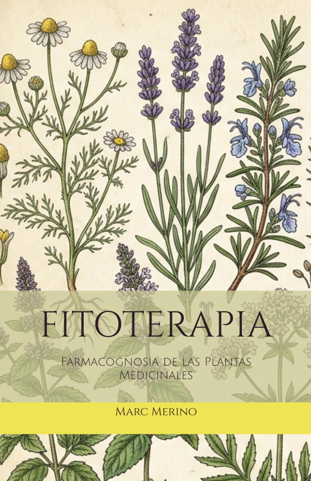 Libro: FITOTERAPIA: Farmacognosia de las Plantas Medicinales (Naturopatia)