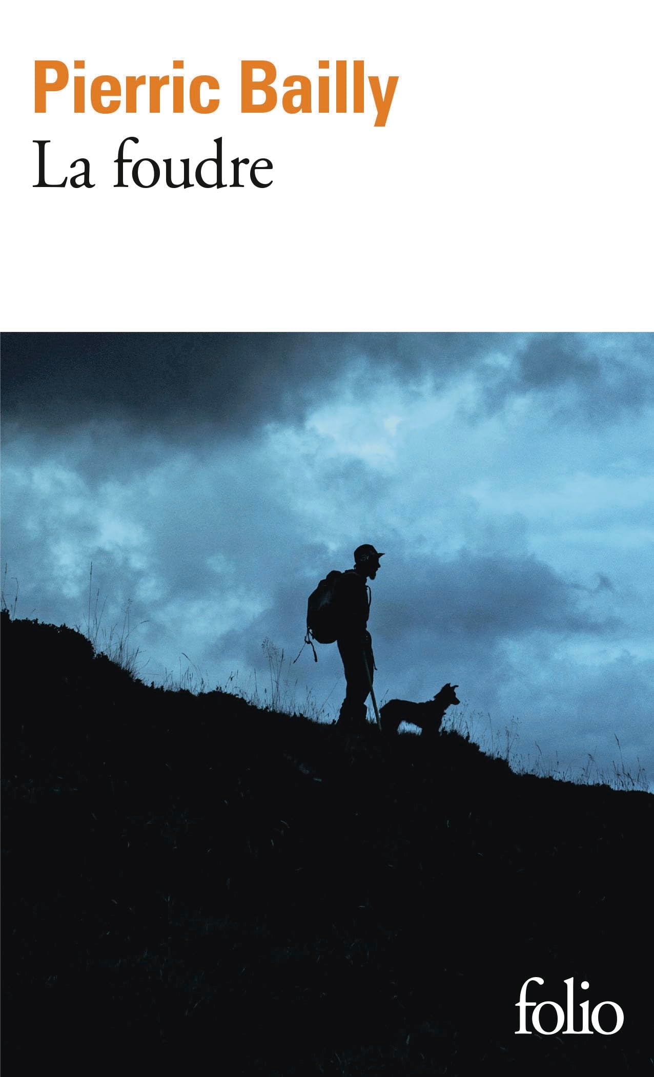 Libro: La foudre
