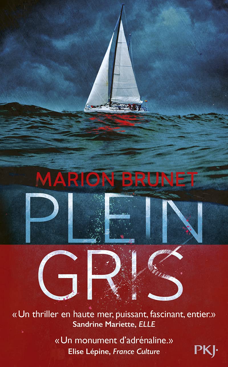 Libro: Plein gris
