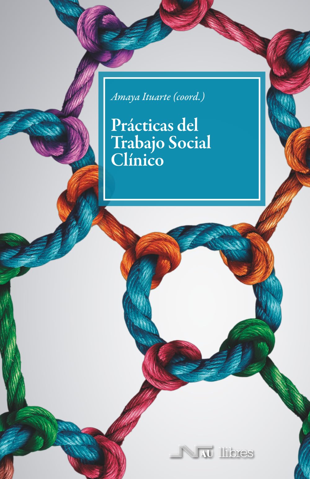 Libro: Prácticas del Trabajo Social Clínico (Spanish Edition)