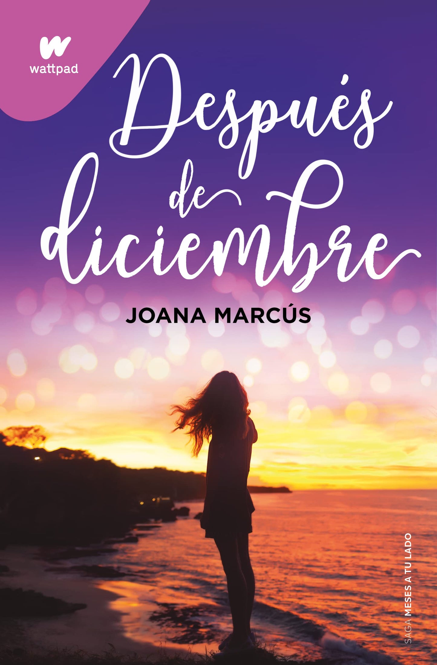 Después de diciembre (edición revisada por la autora) (Meses a tu lado 2) (Wattpad)