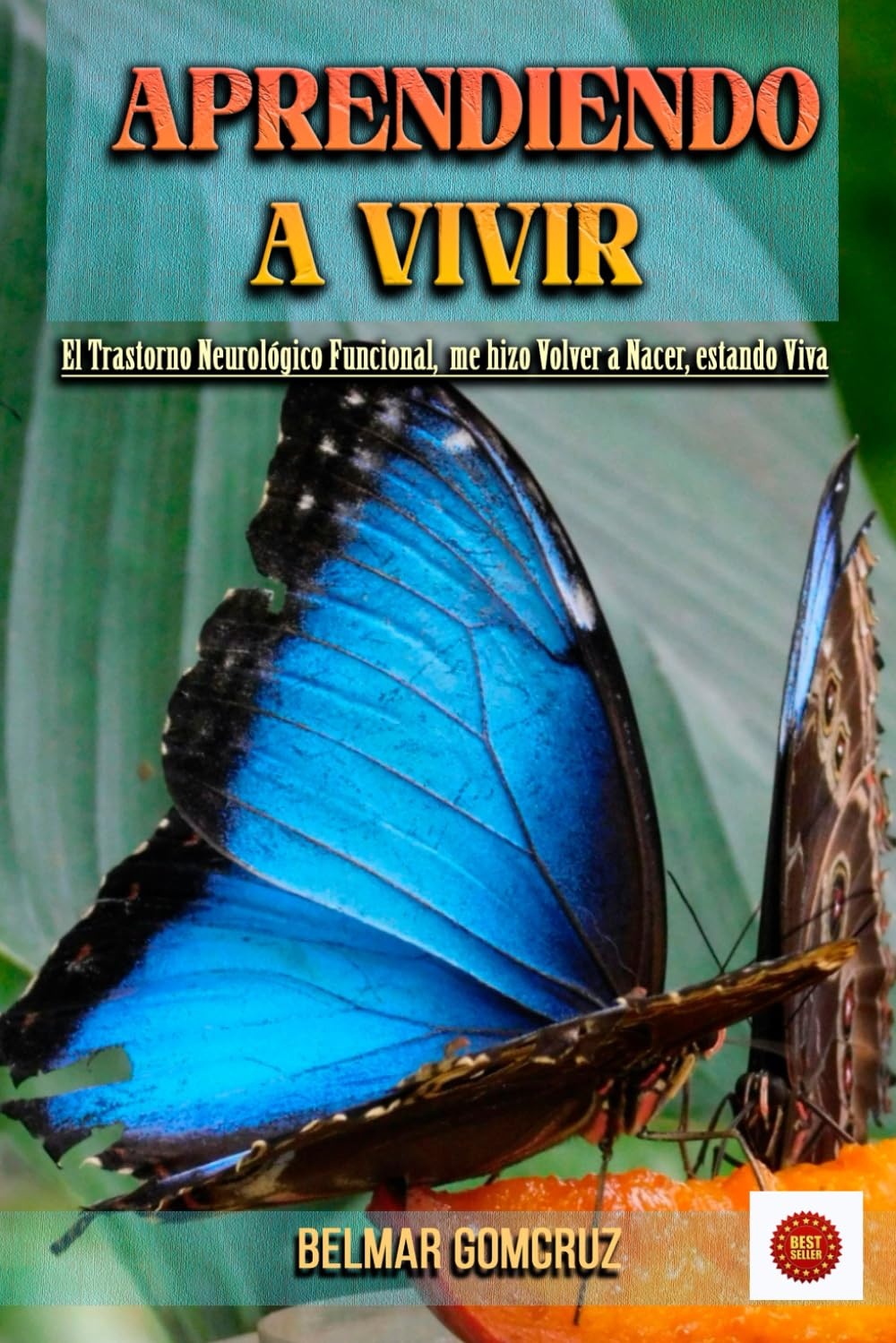 Libro: APRENDIENDO A VIVIR: El Trastorno Neurológico Funcional, Me Hizo Volver a Nacer, Estando Viva (Spanish Edition)