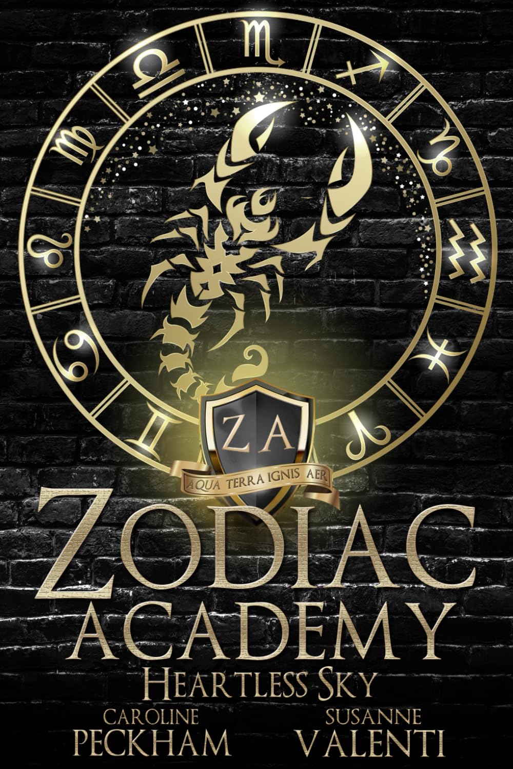 Libro: Zodiac Academy 7: Heartless Sky