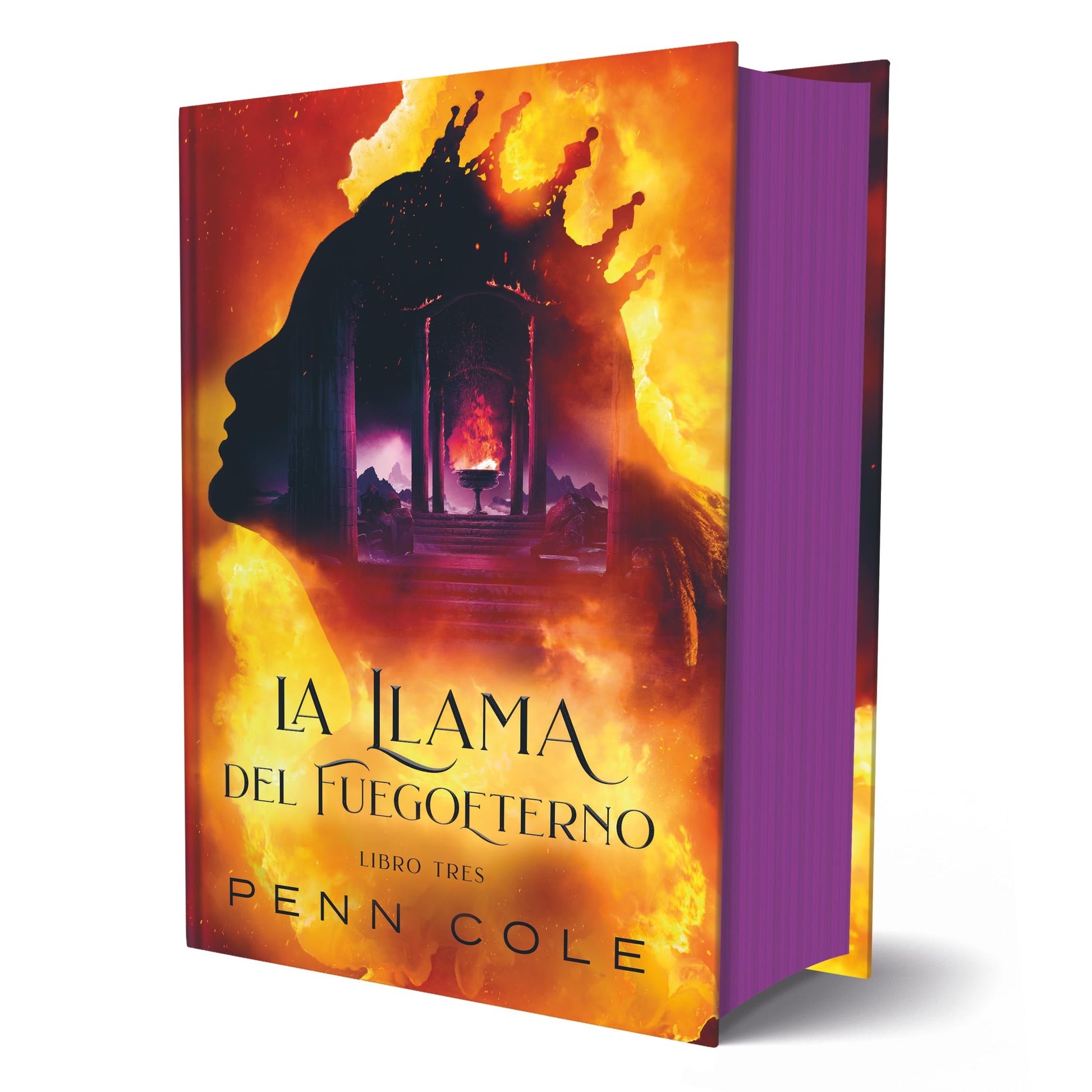 Libro: La llama del Fuegoeterno (TBR)