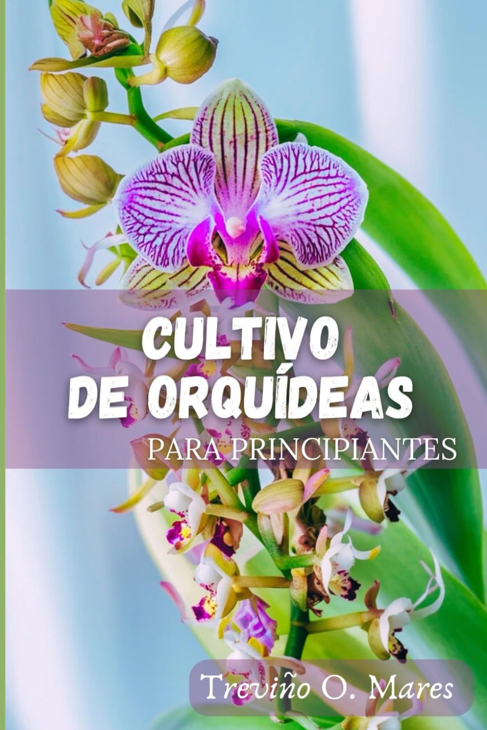 Libro: CULTIVO DE ORQUÍDEAS PARA PRINCIPIANTES: Guía completa para cultivar una planta en flor