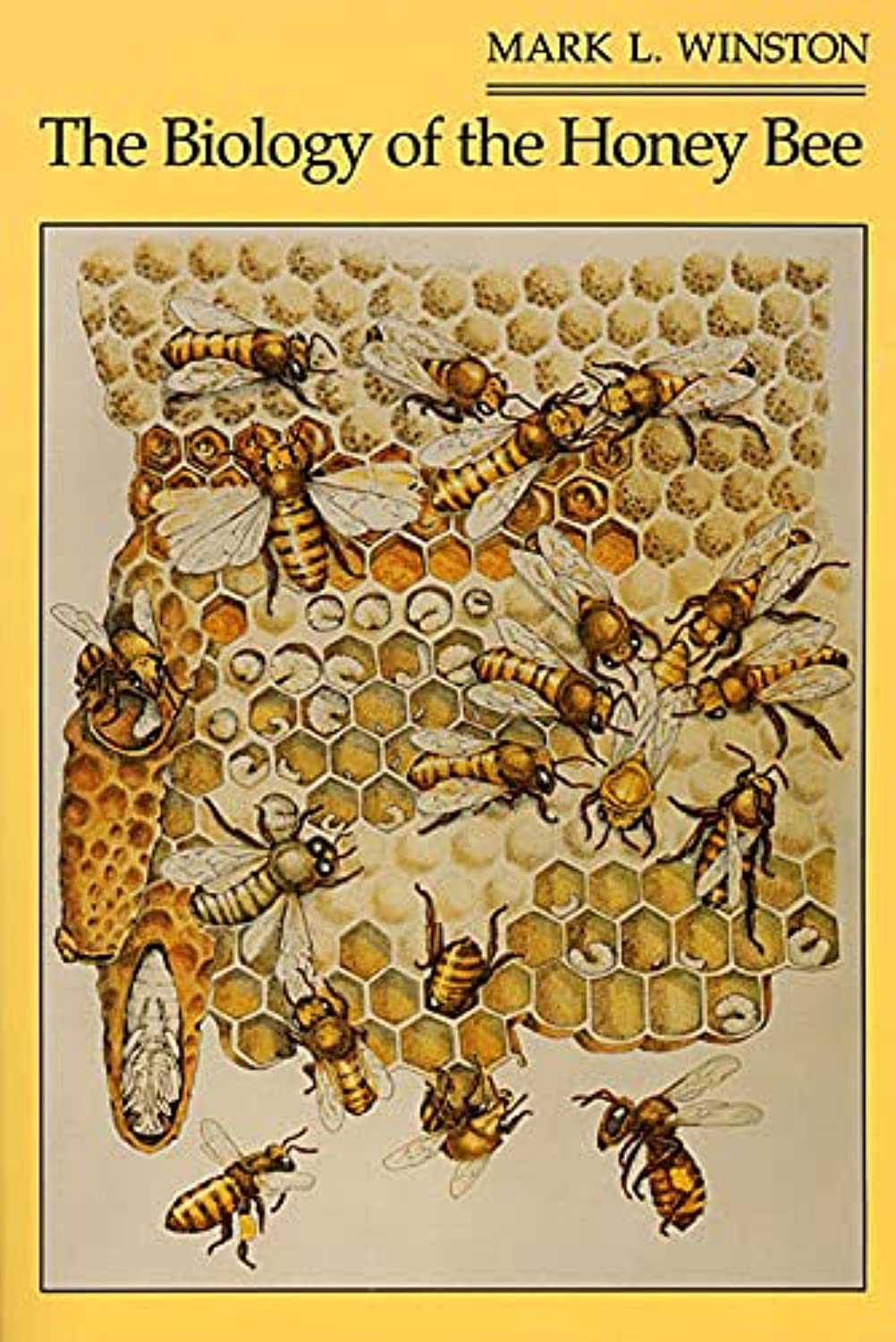 Libro: The Biology of the Honey Bee