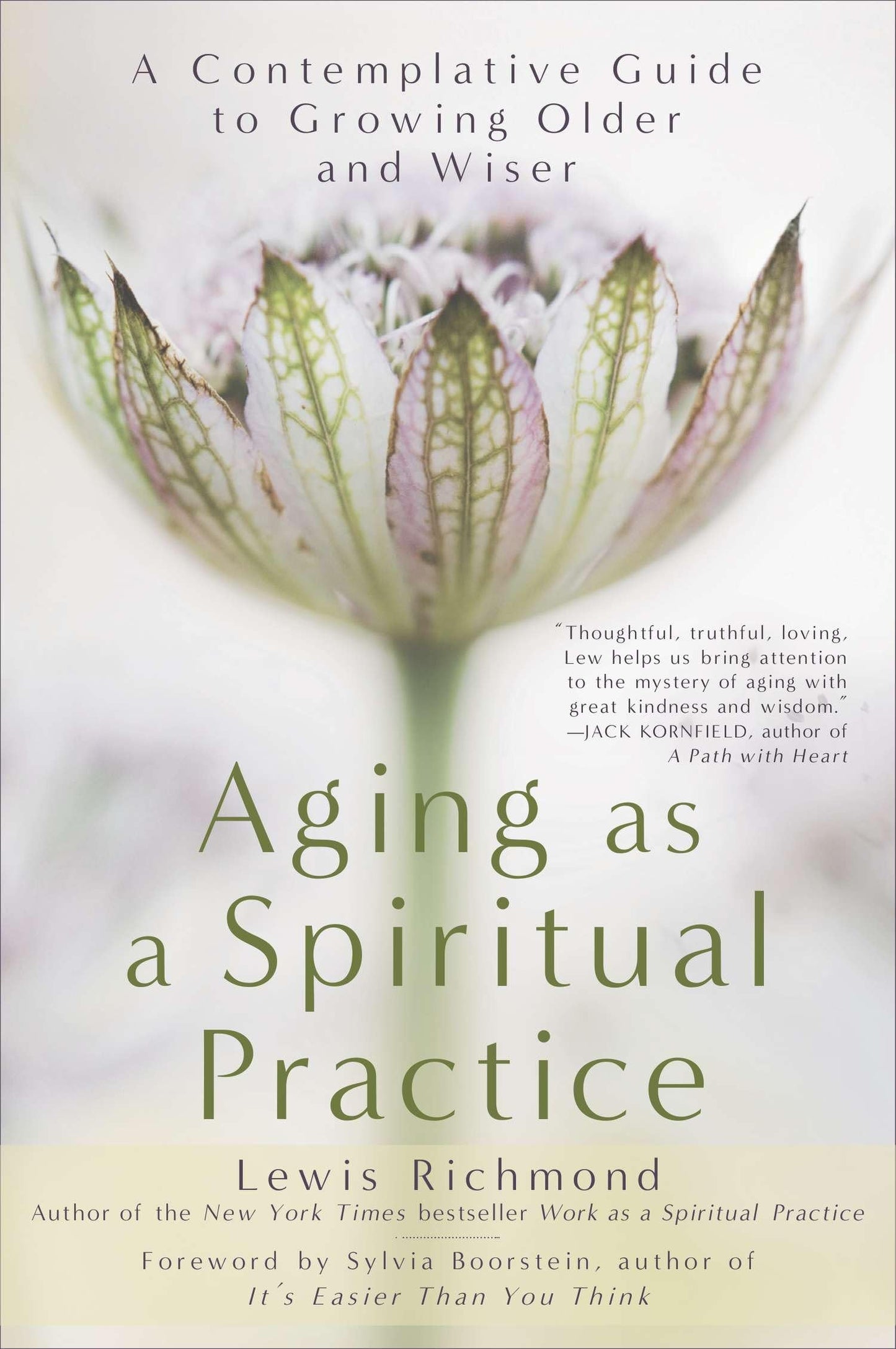 Libro: Aging as a Spiritual Practice: A Contemplative Guide to Growing Older and Wiser