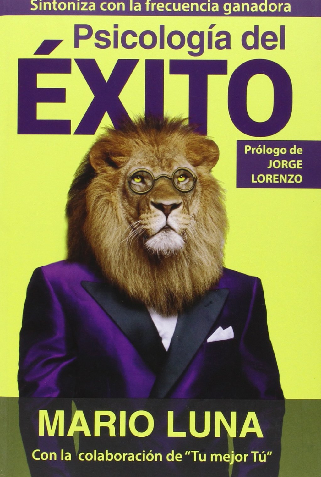 Libro: Psicología Del Éxito (Dinámicas sociales) Español