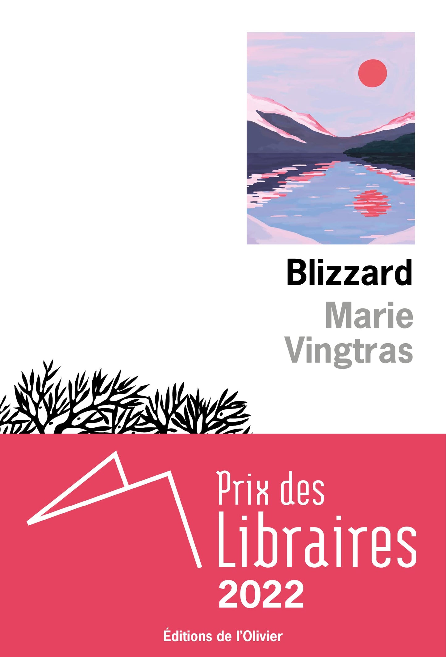 Libro: Blizzard