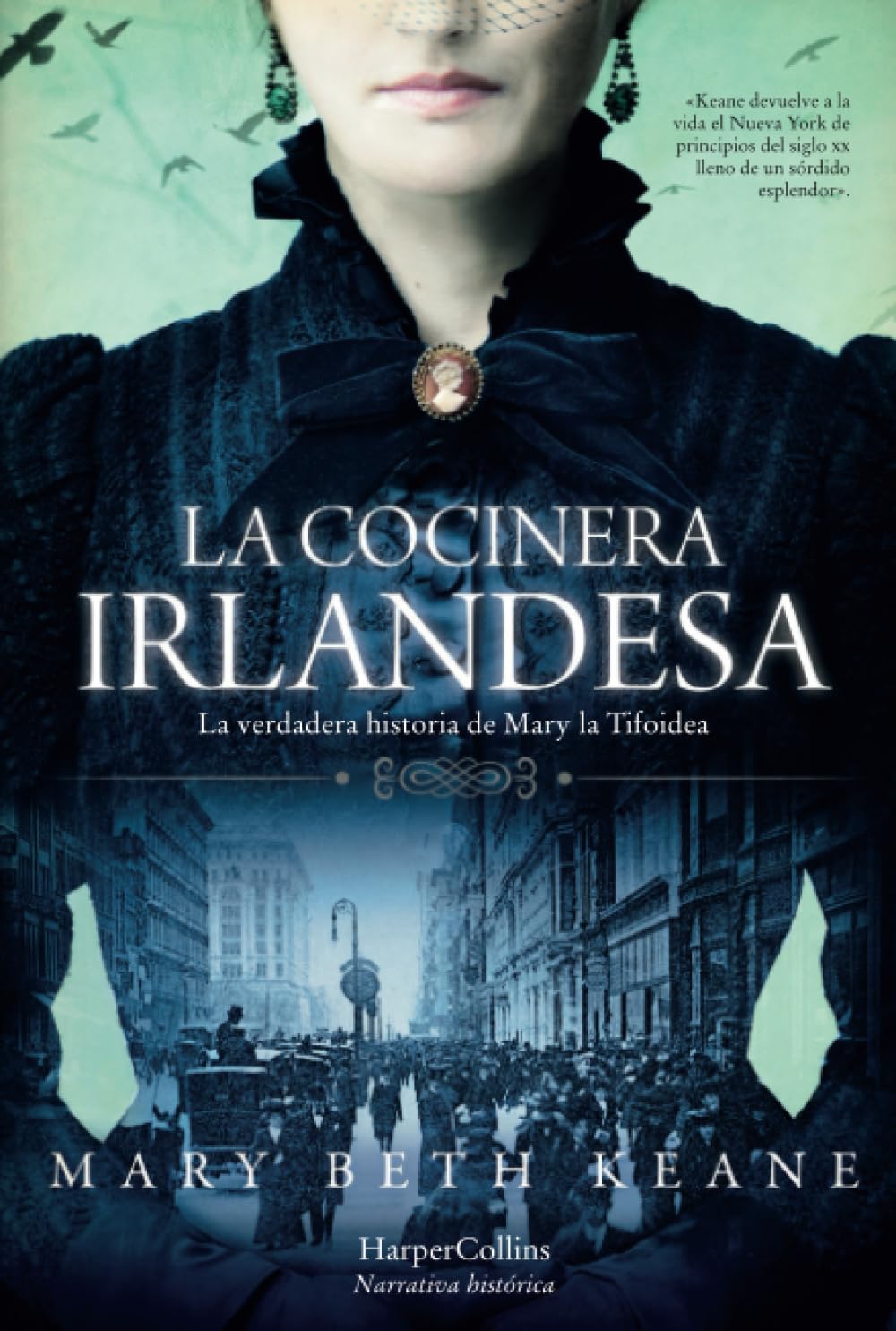 Libro: La cocinera irlandesa. (Spanish Edition)