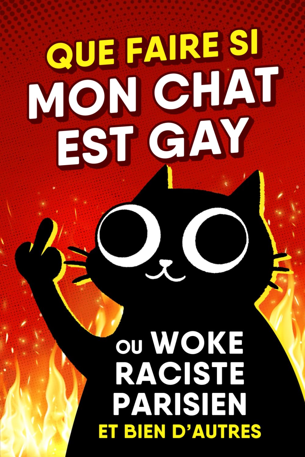 Libro: QUE FAIRE SI MON CHAT EST GAY: ou Woke, Raciste, Parisien et bien d'autres (French Edition)