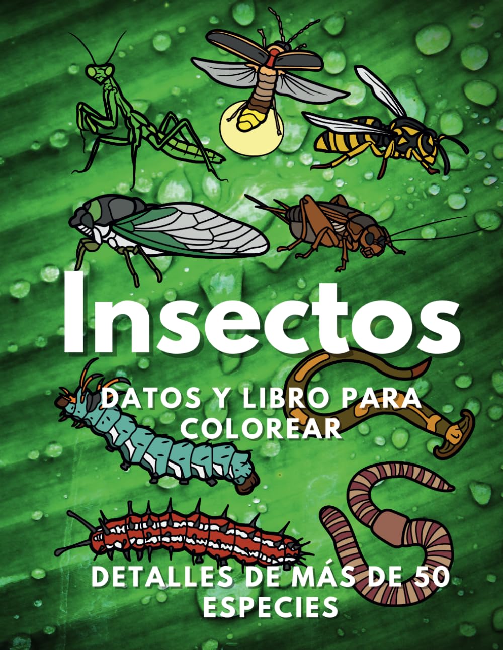 Libro: Insectos: Datos y libro para colorear: Libro de actividades para niños de 2 a 16 años (Spanish Edition)