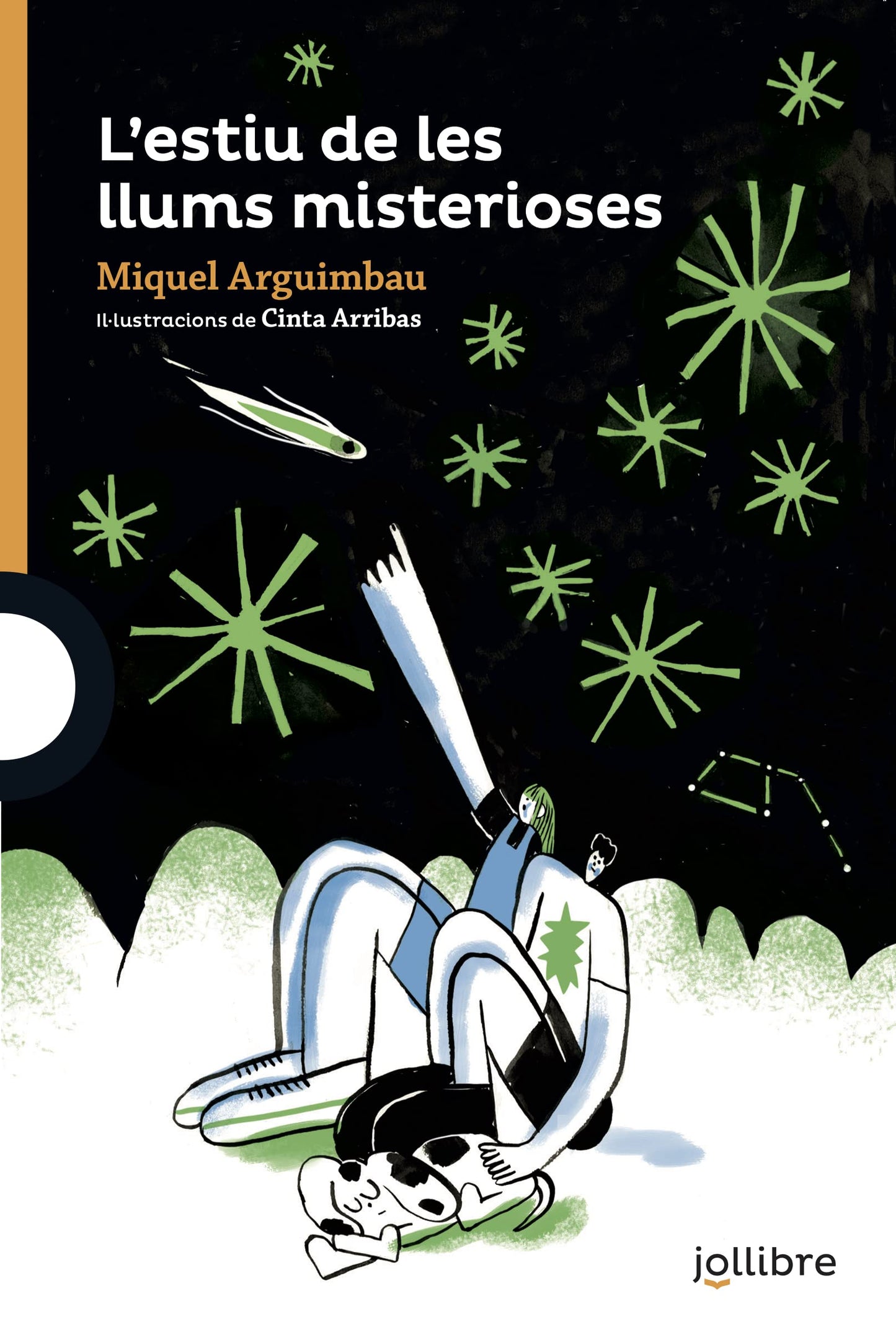 Libro: L'estiu de les llums misterioses