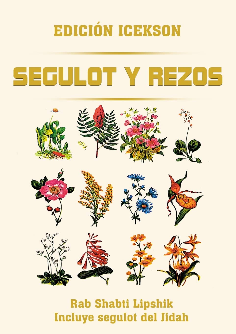 Libro: Segulot y Rezos (Spanish Edition)
