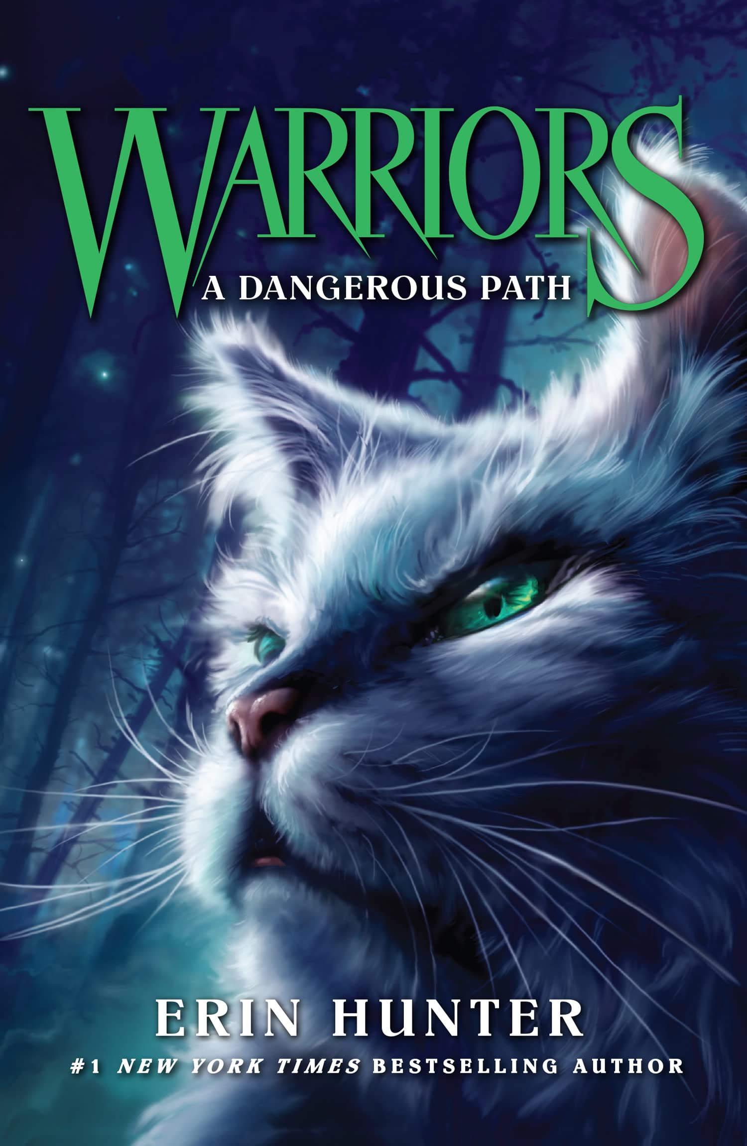Libro: Dangerous Path: Discover the Warrior Cats, the bestselling children’s fantasy series of animal tales: Book 5