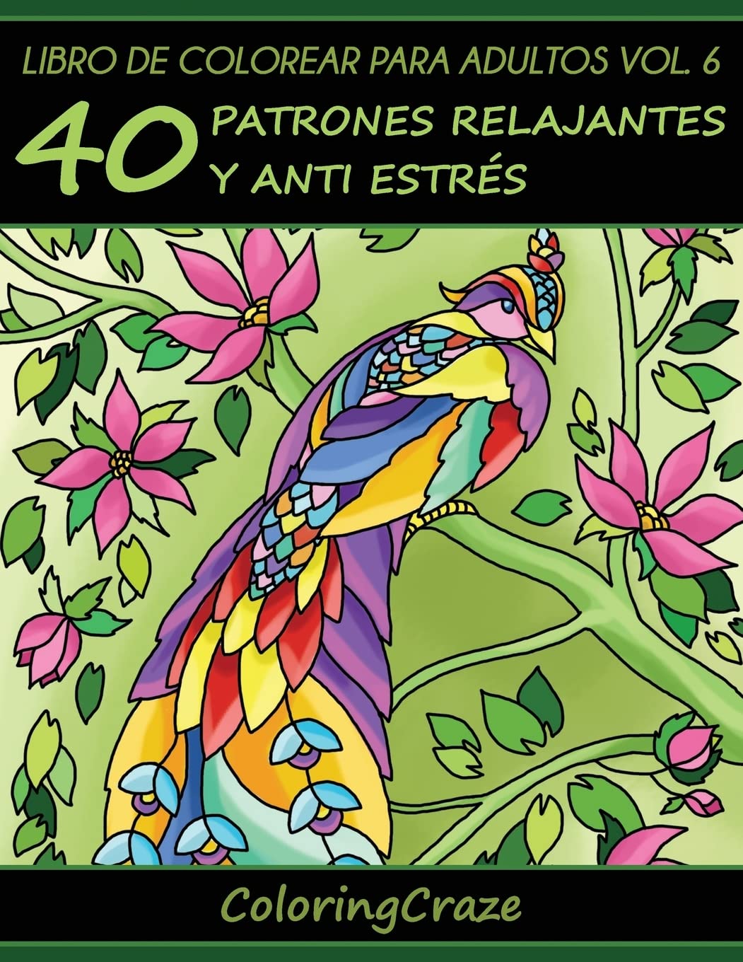 Libro de Colorear para Adultos Volumen 6: 40 Patrones Relajantes y Anti Estrés (Colección de Terapia Artística Antiestrés)