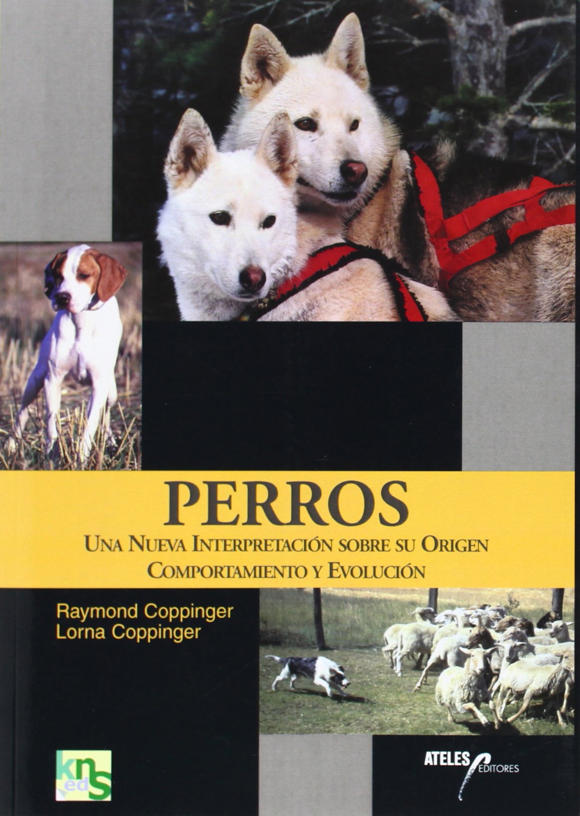 Libro: Perros: Una nueva interpretación sobre su origen, comportamiento y evolución (SIN COLECCION)