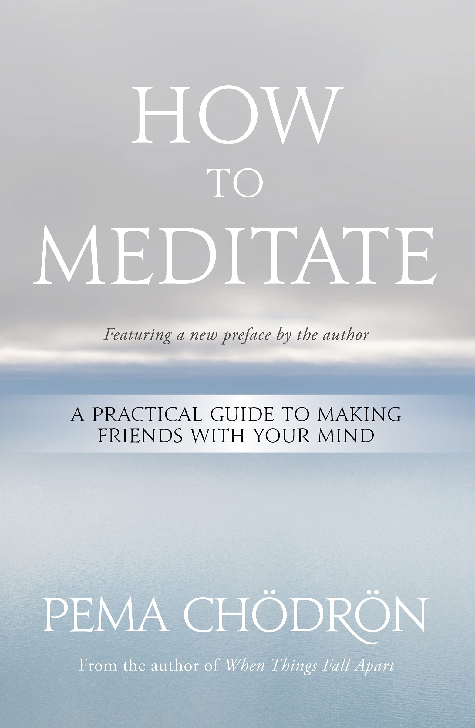 Libro: How to Meditate: A Practical Guide to Making Friends with Your Mind